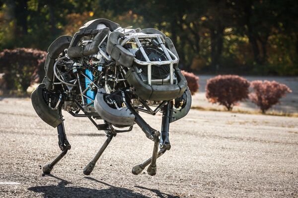 Самый быстрый четвероногий робот на Земле WildCat может бежать со скоростью 32 километра в час, маневрируя и сохраняя равновесие - Sputnik Грузия