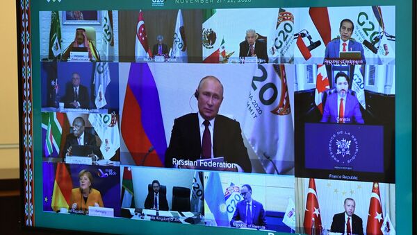Участники саммита Группы двадцати в режиме видеоконференции - Sputnik Грузия
