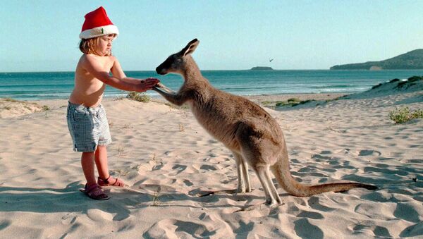 Девочка с кенгуру на пляже накануне Рождества в Австралии  - Sputnik Грузия