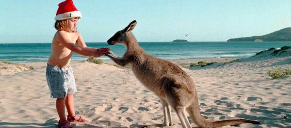 Девочка с кенгуру на пляже накануне Рождества в Австралии  - Sputnik Грузия