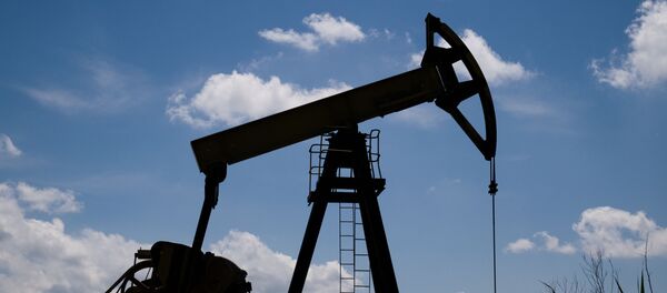 Нефтяной станок-качалка в Северском районе Краснодарского края. Нефтяной станок-качалка в Северском районе Краснодарского края. - Sputnik Грузия