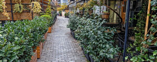 Закрытые бары, кафе и рестораны в центре столицы на улице Эрекле Меоре (Ираклия Второго) - Sputnik Грузия