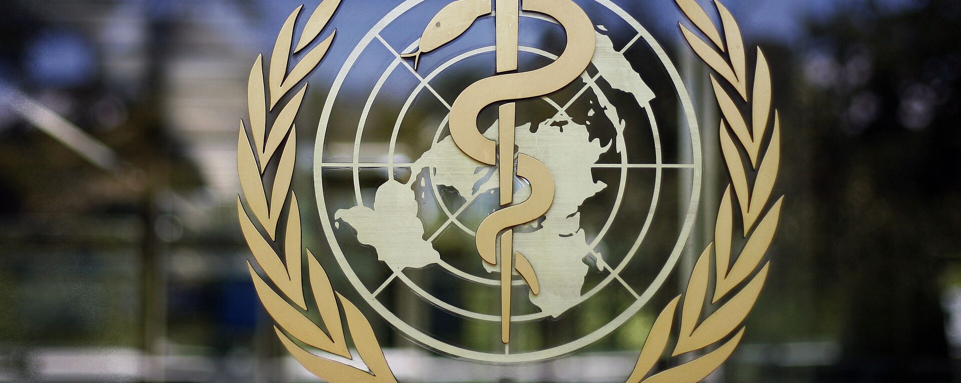 Всемирная Организация Здравоохранения - ВОЗ - Sputnik Грузия, 1920, 14.07.2021