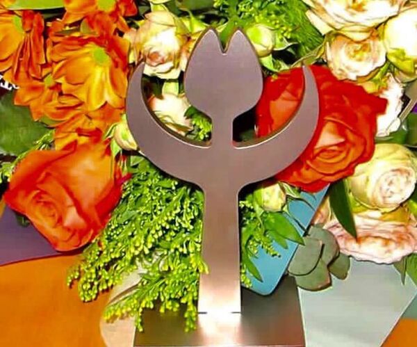 Награду Тюльпан прав человека получили три активистки из Грузии - Sputnik Грузия