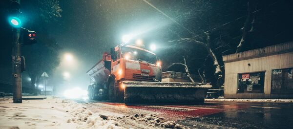 თოვლი თბილისის გარეუბანში თოვლი თბილისის გარეუბანში - Sputnik საქართველო