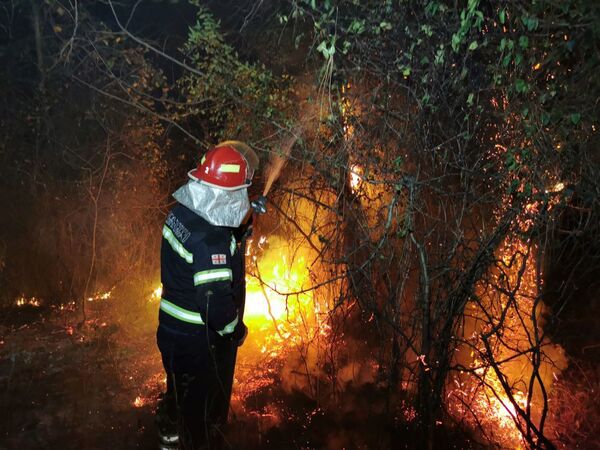 Несколько дней назад первый очаг возгорания появился неподалеку - загорелись кустарник и трава между селами Кулеви и Чурия - Sputnik Грузия