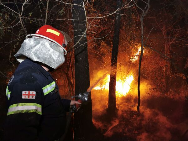 Поэтому для тушения возникающих в этой местности пожаров сразу направляются усиленные подразделения пожарных-спасателей - Sputnik Грузия