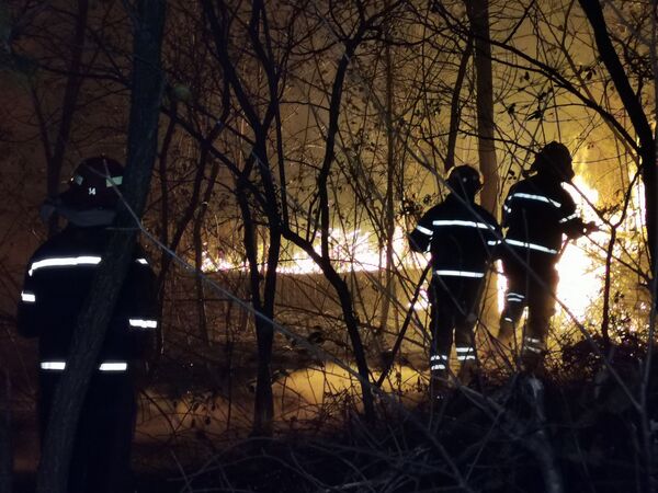 На ликвидацию нового пожара были направлены пожарные-спасатели из регионов Самегрело-Земо Сванети и Имерети - Sputnik Грузия