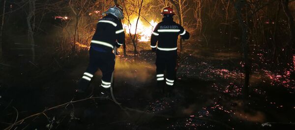 Лесной пожар в Западной Грузии у села Кулеви - Sputnik Грузия