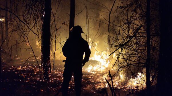 Лесной пожар в Западной Грузии у села Кулеви - Sputnik Грузия