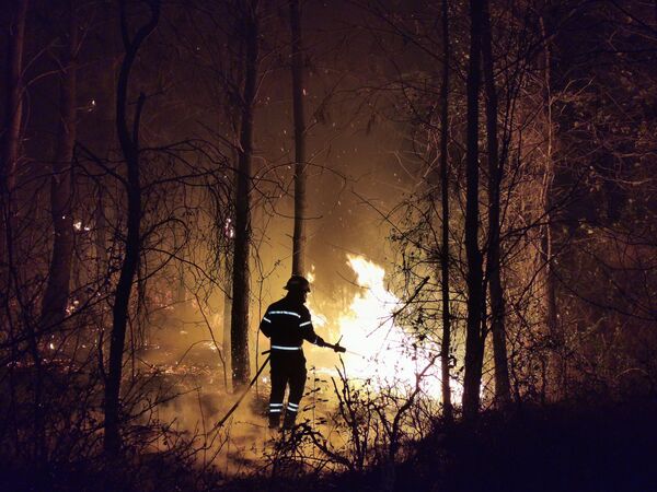 Это уже второй пожар на болотах в районе села Кулеви за последние дни - Sputnik Грузия