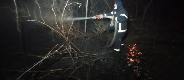 Лесной пожар в Западной Грузии у села Кулеви - Sputnik Грузия