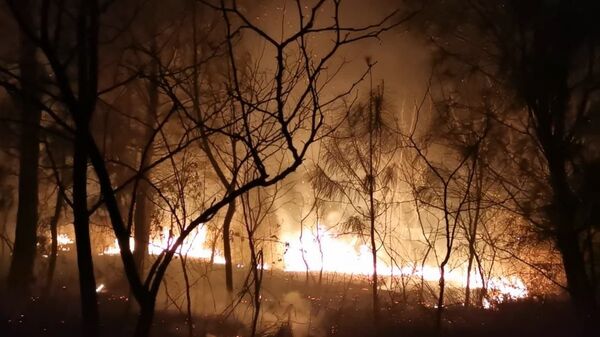 Пожар близ нефтяного терминала в Кулеви ликвидирован - Sputnik Грузия