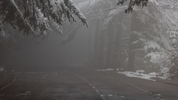 Сильный туман и снег - зимняя дорога на горе Мтацминда - Sputnik Грузия