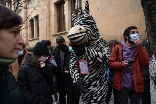 Костюм зебры одел на себя один из гражданских активистов - Sputnik Грузия