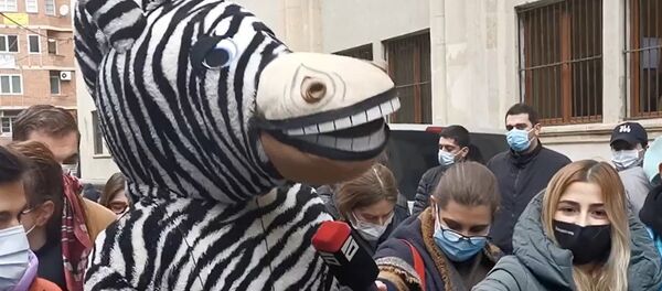 პარლამენტში ზებრა მივიდა პარლამენტში ზებრა მივიდა - Sputnik საქართველო