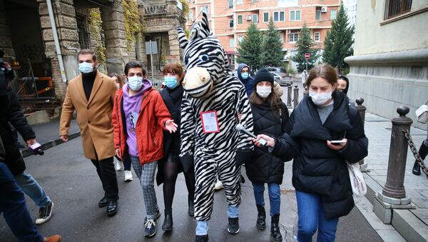 Зебра с рогами. Акция протеста оппозиции у верхнего входа в парламент Грузии 11 декабря 2020 года - Sputnik Грузия