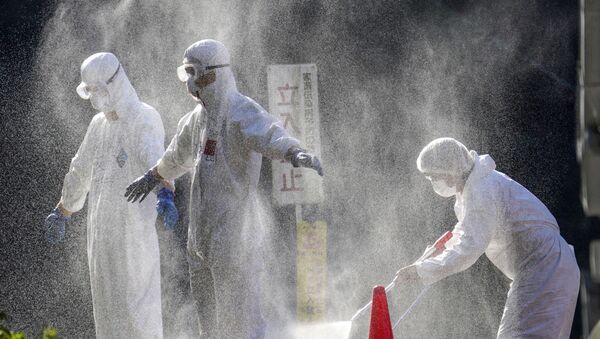 Медики в защитных костюмах работают на месте, где была подтверждена вспышка вируса птичьего гриппа  - Sputnik Грузия