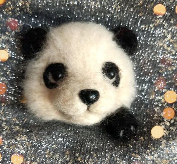 ატარე შენი საყვარელი ცხოველი გულის ჯიბით: საინტერესო სტარტაპი ქართველი ხელოვანისგან ატარე შენი საყვარელი ცხოველი გულის ჯიბით: საინტერესო სტარტაპი ქართველი ხელოვანისგან - Sputnik საქართველო