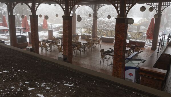 Закрытые кафе, бары и рестораны во время эпидемии коронавируса. Зима - Sputnik Грузия