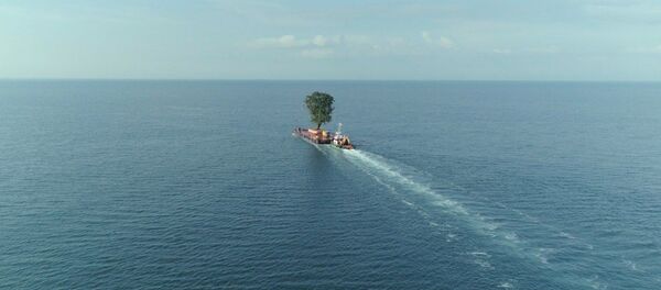 Кадр из фильма Укрощение Саломе Джаши - Sputnik Грузия