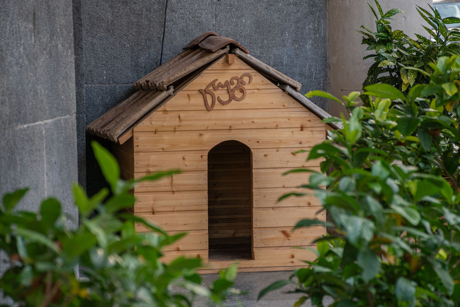 Домашние животные - будка для бродячих собак на одной из кутаисских улиц - Sputnik Грузия, 1920, 01.04.2026