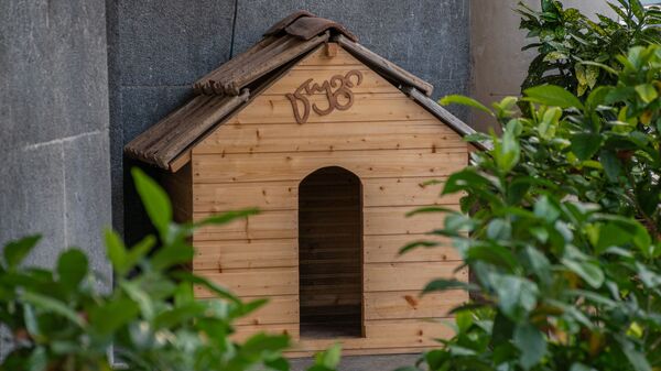 Домашние животные - будка для бродячих собак на одной из кутаисских улиц - Sputnik Грузия