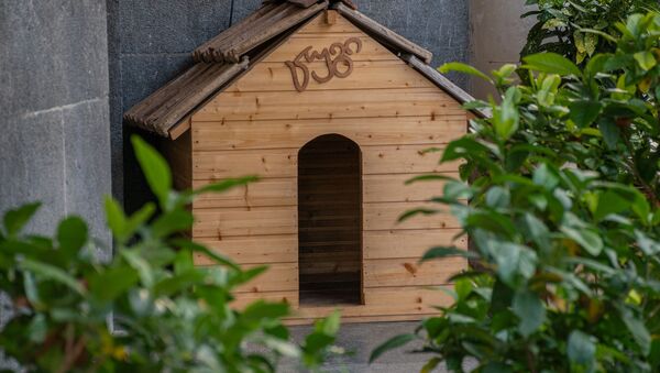 Домашние животные - будка для бродячих собак на одной из кутаисских улиц - Sputnik Грузия