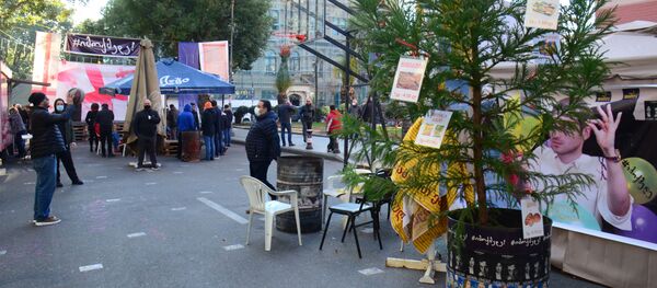 Оппозиционная елка. Городок оппозиции у здания правительства Аджарии  - Sputnik Грузия