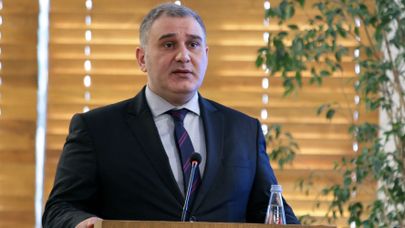 მიხეილ სარჯველაძე