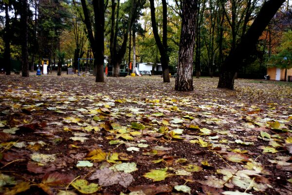 Вроде бы декабрь в разгаре, а парк все еще устелен желто-оранжевыми осенними листьями. - Sputnik Грузия