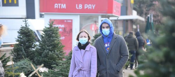 Предновогодняя торговля елками и чичилаки у Дворца спорта - Sputnik Грузия