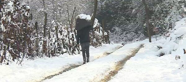 Сильный снегопад в высокогорном районе Хуло в Аджарии - видео Сильный снегопад в высокогорном районе Хуло в Аджарии - видео - Sputnik Грузия