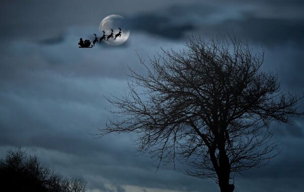 ახალი წელი და პანდემია: როგორ ვუქციოთ შვილებს შიდაიზოლაცია დღესასწაულად ახალი წელი და პანდემია: როგორ ვუქციოთ შვილებს შიდაიზოლაცია დღესასწაულად - Sputnik საქართველო