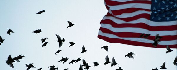 Флаг США - Sputnik Грузия