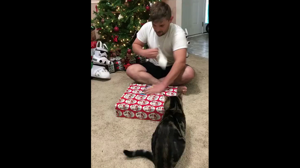 Парень очень обрадовался новогоднему подарку, но кот его радость не разделил – видео - Sputnik Грузия