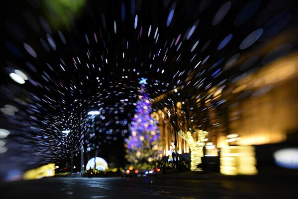 Радостно сверкает огнями у здания парламента главная новогодняя елка страны - Sputnik Грузия