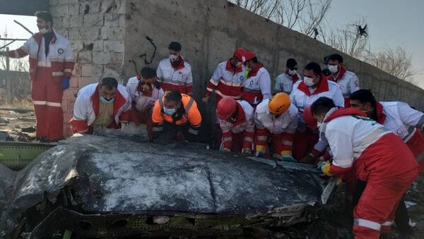 Украинский пассажирский самолет потерпел крушение в Иране - Sputnik Грузия