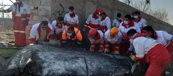 Украинский пассажирский самолет потерпел крушение в Иране Украинский пассажирский самолет потерпел крушение в Иране - Sputnik Грузия