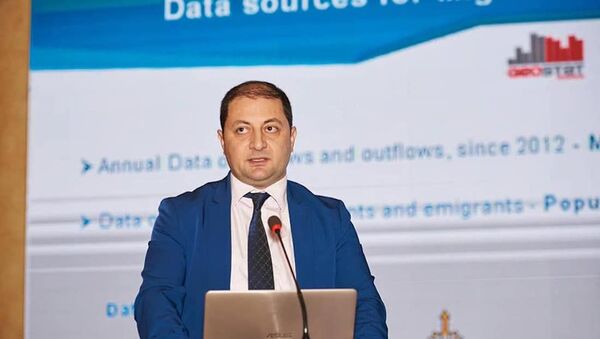 Исполнительный директор Национальной службы статистики Сакстат Гогита Тодрадзе   - Sputnik Грузия