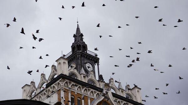 Стая птиц над зданием, Сретенский бульвар, Москва - Sputnik Грузия