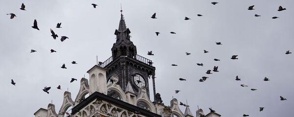 Стая птиц над зданием, Сретенский бульвар, Москва - Sputnik Грузия