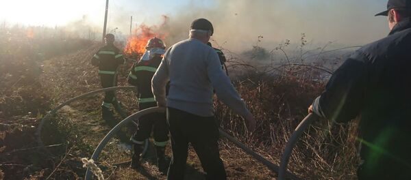 ხანძარი სამეგრელოში ხანძარი სამეგრელოში - Sputnik საქართველო