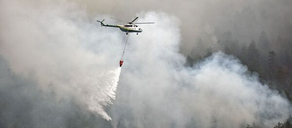 ტყის ხანძრის ქრობა დასავლეთ საქართველოში ტყის ხანძრის ქრობა დასავლეთ საქართველოში - Sputnik საქართველო