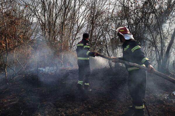 Пожары вспыхнули в начале января, всего в регионе Самегрело было около 80 очагов огня - Sputnik Грузия