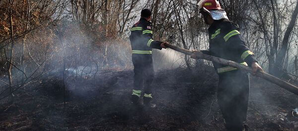 Лесные пожары в Западной Грузии. Пожарные спасатели на тушении пожара - Sputnik Грузия