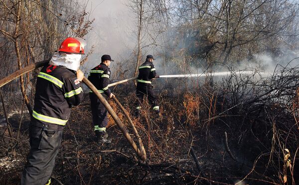 Пожарные-спасатели оперативно приступили к работе - Sputnik Грузия