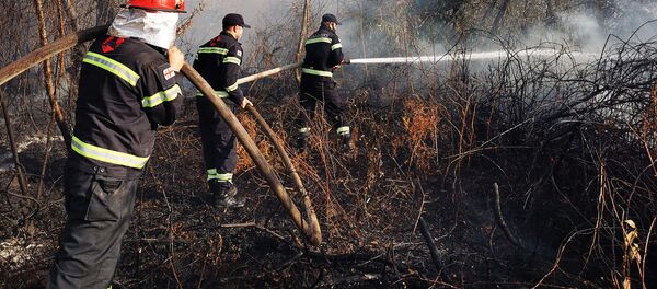 Лесные пожары в Западной Грузии. Пожарные спасатели на тушении пожара - Sputnik Грузия