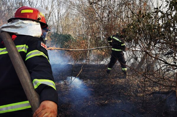 По словам представителей местных властей, причиной пожаров стали халатность и сельскохозяйственные работы - Sputnik Грузия