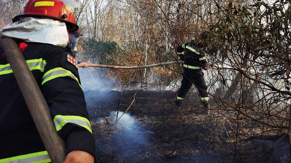 Лесные пожары в Западной Грузии. Пожарные спасатели на тушении пожара - Sputnik Грузия